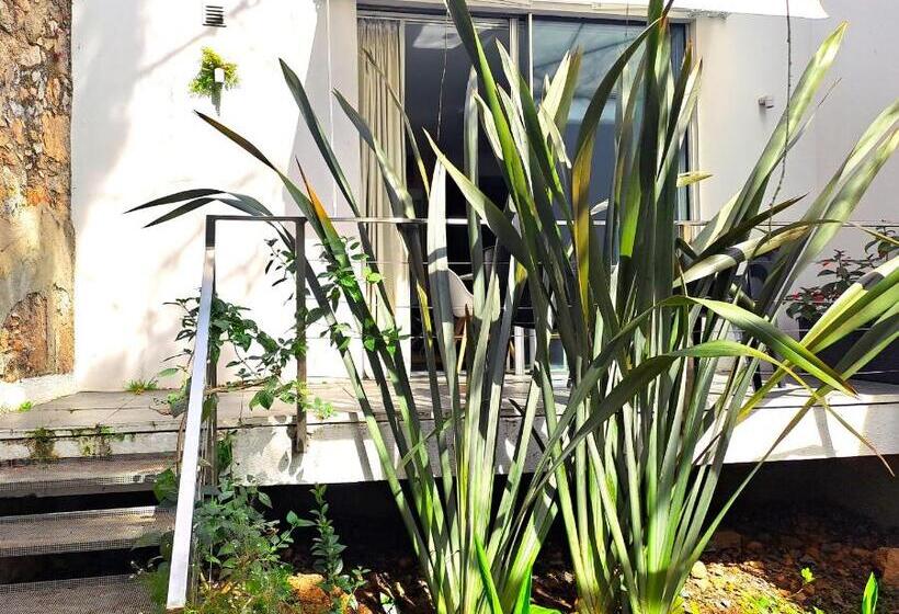 발코니 수피리어 룸, Casa Vela Boutique House