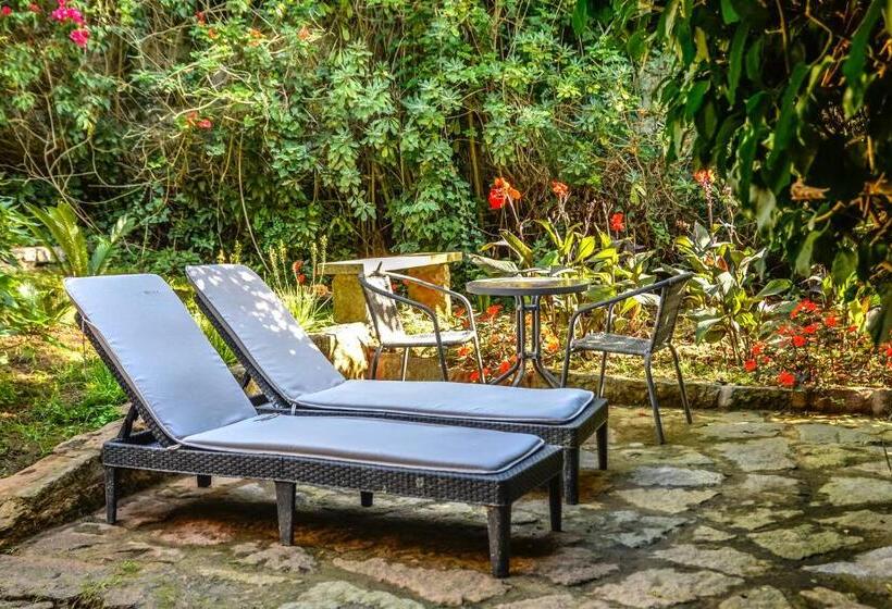 주니어 스위트 발코니, Casa Vela Boutique House