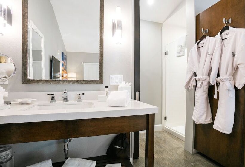 デラックスルーム, Almond Tree Inn  Adults Only