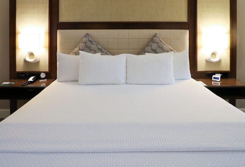 デラックスルーム, Almond Tree Inn  Adults Only