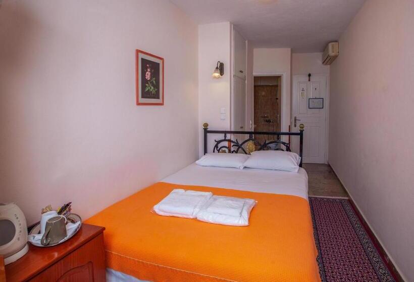 标准单人间, Byron Traditional