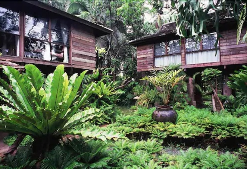 高级大房间, Fern Paradise