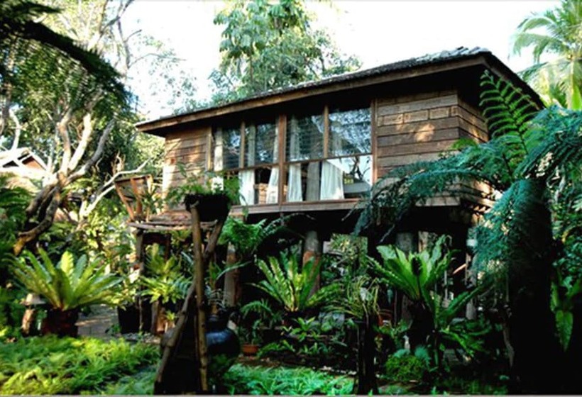 高级大房间, Fern Paradise