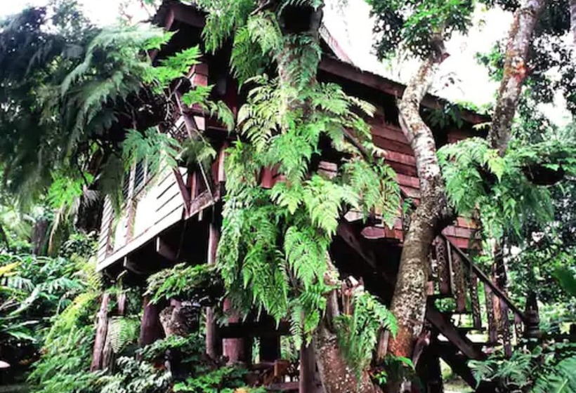 高级大房间, Fern Paradise