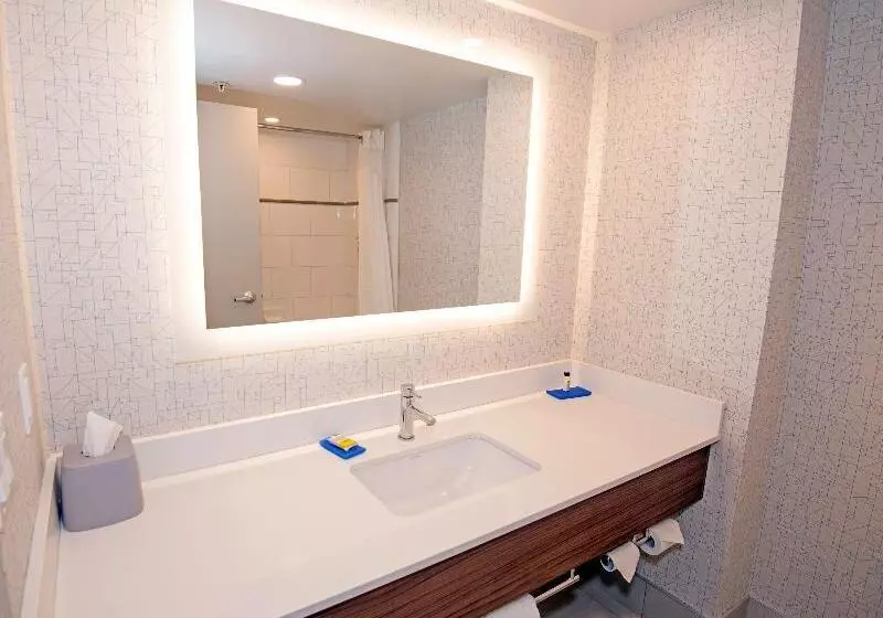 身障者適用キングサイズベッドルーム, Holiday Inn Express Hotel & Suites Hinton, An Ihg