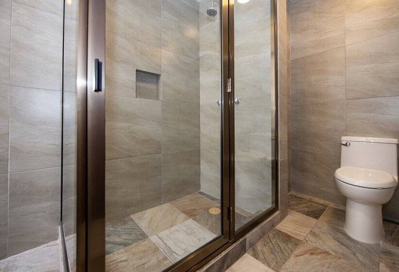 Номер Стандарт, Senorial