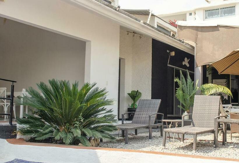 Номер Superior, Vf