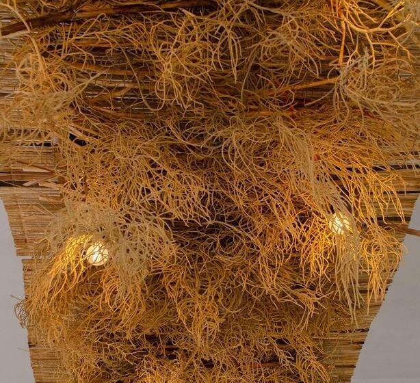 Номер Superior, Vf