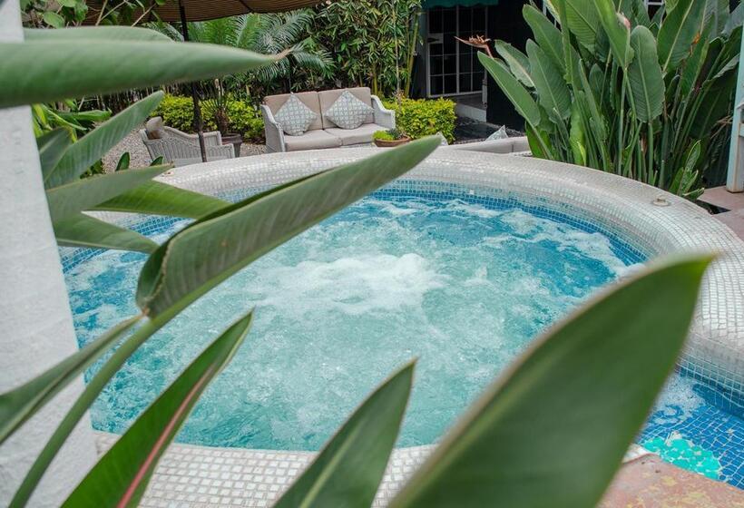 Номер Superior, Vf