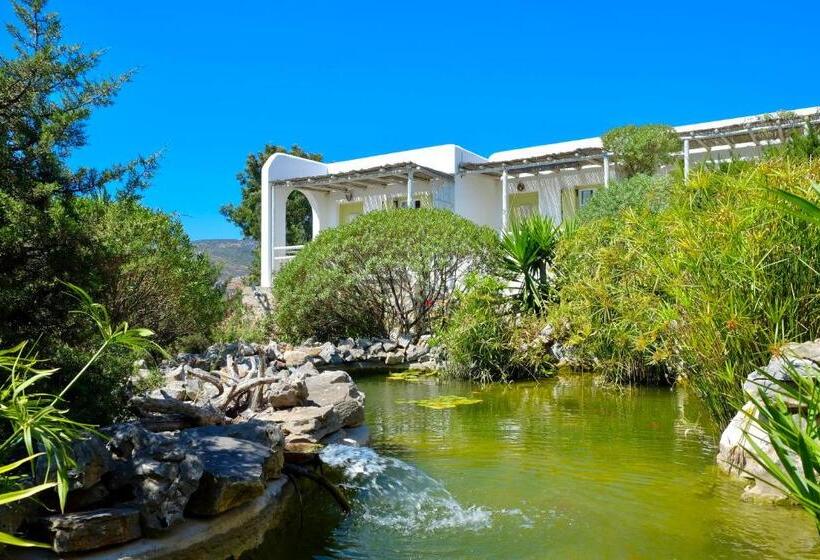 חדר סטנדרט, Villa Zografos