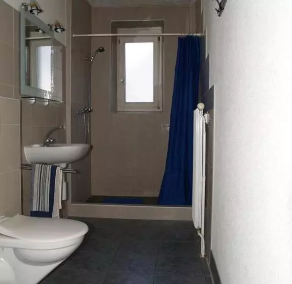 Standard-huone Jaettu Kylpyhuone, Walters Hostel Interlaken
