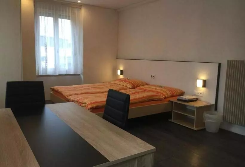Standard-huone Jaettu Kylpyhuone, Walters Hostel Interlaken