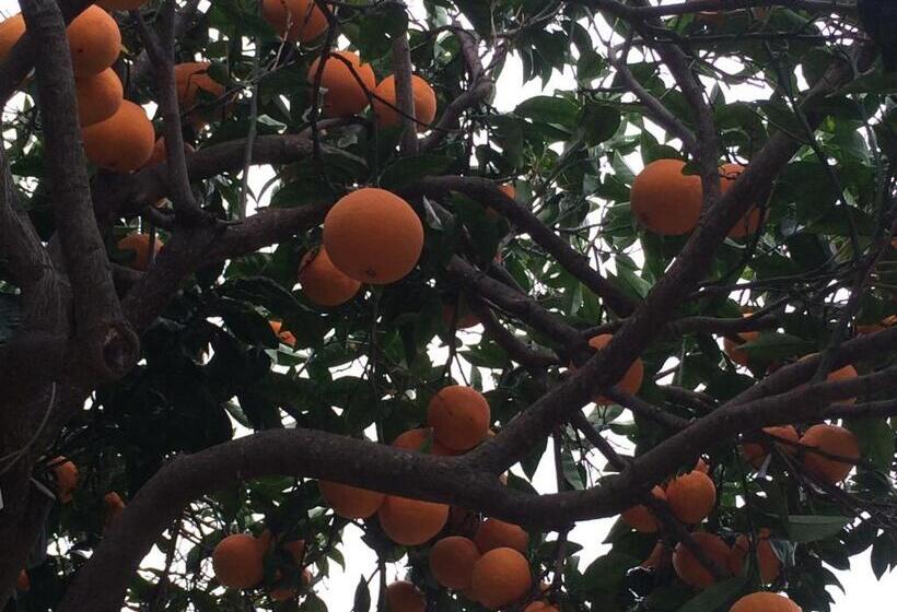 Standardrum, Cyclades Beach