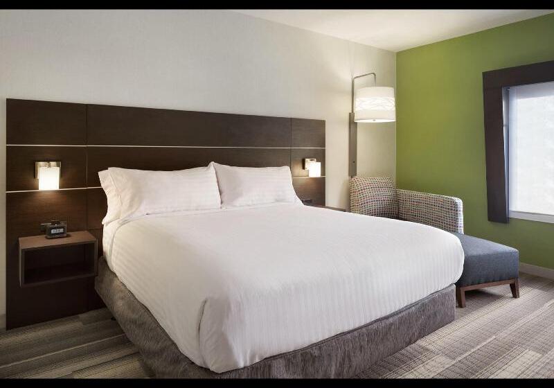 Стандартный Номер Кровать Кинг, Holiday Inn Express Hotel & Suites Canton, An Ihg
