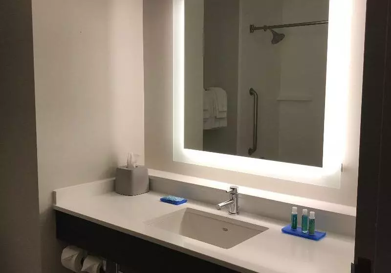 スイート, Holiday Inn Express Hotel & Suites Canton, An Ihg