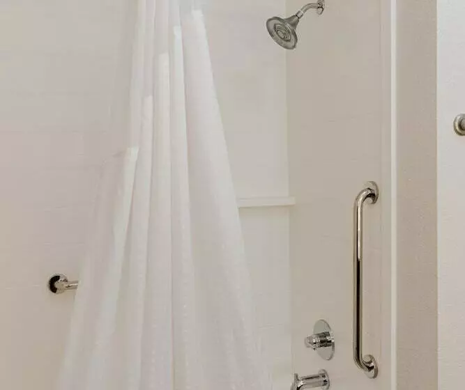 スイート, Holiday Inn Express Hotel & Suites Greenville, An Ihg