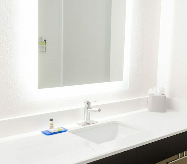 套房, Holiday Inn Express Hotel & Suites Greenville, An Ihg