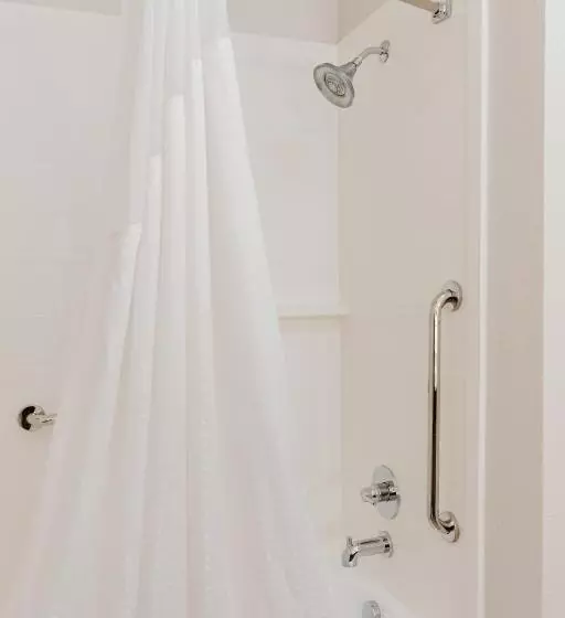 スタンダードルーム, Holiday Inn Express Hotel & Suites Greenville, An Ihg