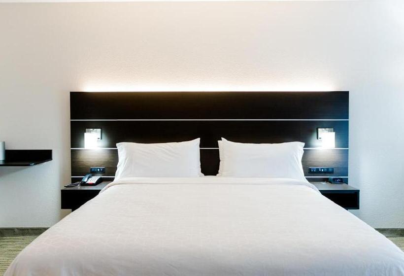 장애인을 위한 킹사이즈 침대 스탠다드 룸, Holiday Inn Express Hotel & Suites Greenville, An Ihg
