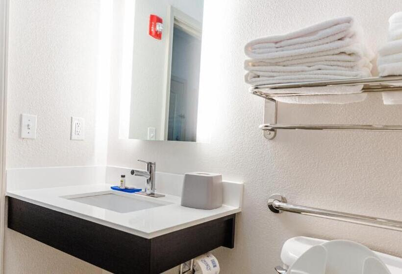 适合残疾人使用的标准间, Holiday Inn Express Hotel & Suites Greenville, An Ihg