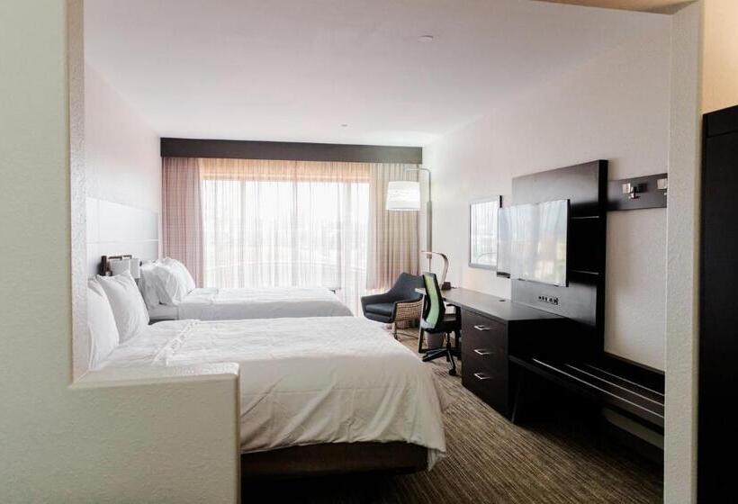 适合残疾人使用的标准间, Holiday Inn Express Hotel & Suites Greenville, An Ihg