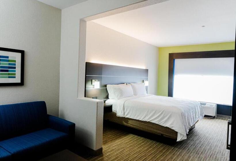 带大床的套房, Holiday Inn Express Hotel & Suites Greenville, An Ihg