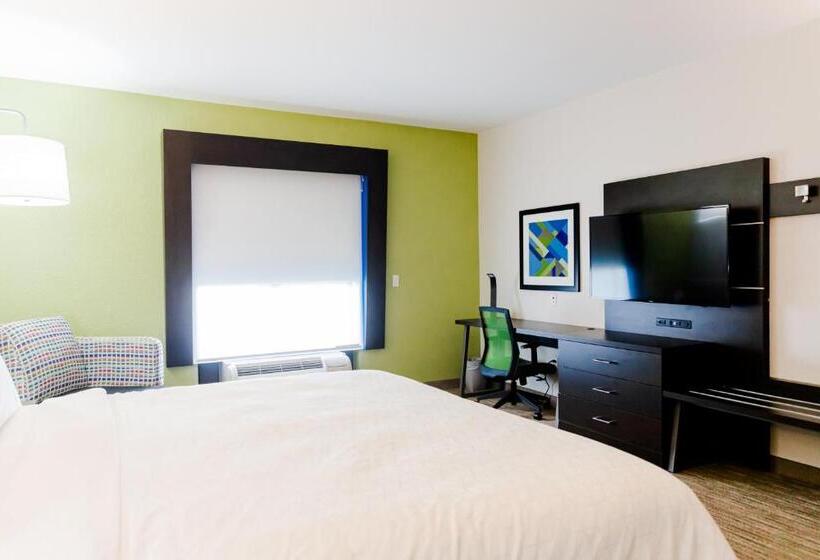 이그제큐티브 룸 킹사이즈 침대, Holiday Inn Express Hotel & Suites Greenville, An Ihg