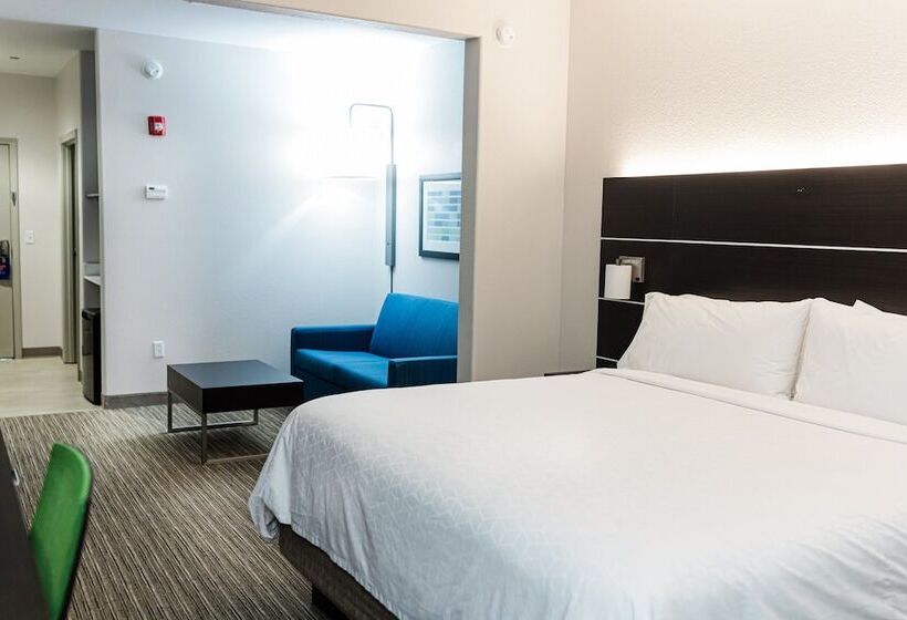 套房, Holiday Inn Express Hotel & Suites Greenville, An Ihg