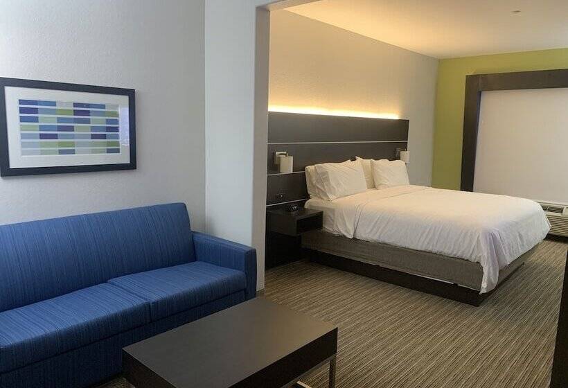 套房, Holiday Inn Express Hotel & Suites Greenville, An Ihg