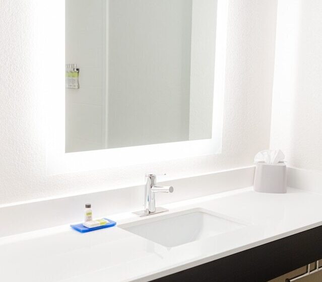 스탠다드 룸, Holiday Inn Express Hotel & Suites Greenville, An Ihg