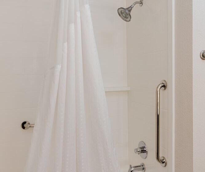 标准间, Holiday Inn Express Hotel & Suites Greenville, An Ihg