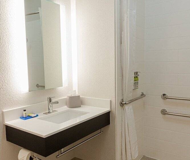 套房, Holiday Inn Express Hotel & Suites Greenville, An Ihg