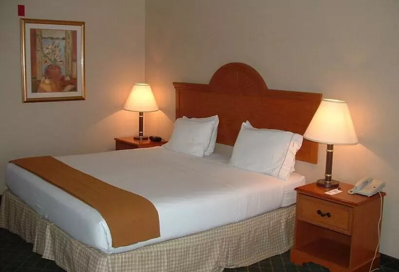 スイート, Holiday Inn Express Hotel & Suites Sylacauga By Ihg