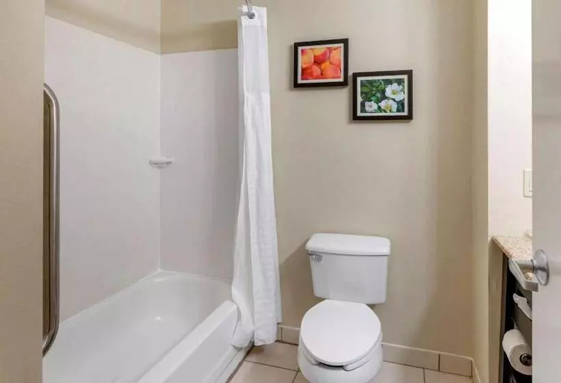 キングサイズベッドのスイートルーム, Comfort & Inn Suites