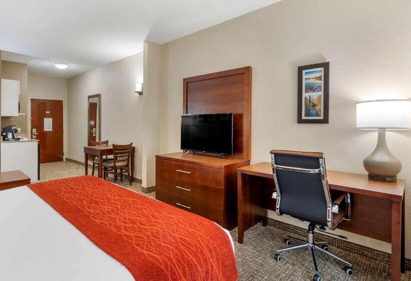 キングサイズベッドのスイートルーム, Comfort & Inn Suites