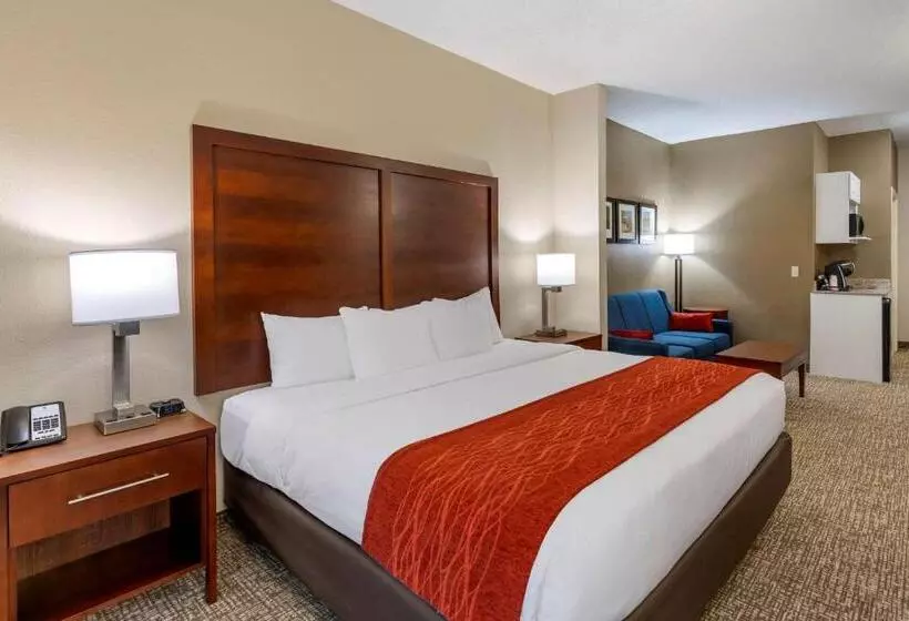 キングサイズベッドのスイートルーム, Comfort & Inn Suites
