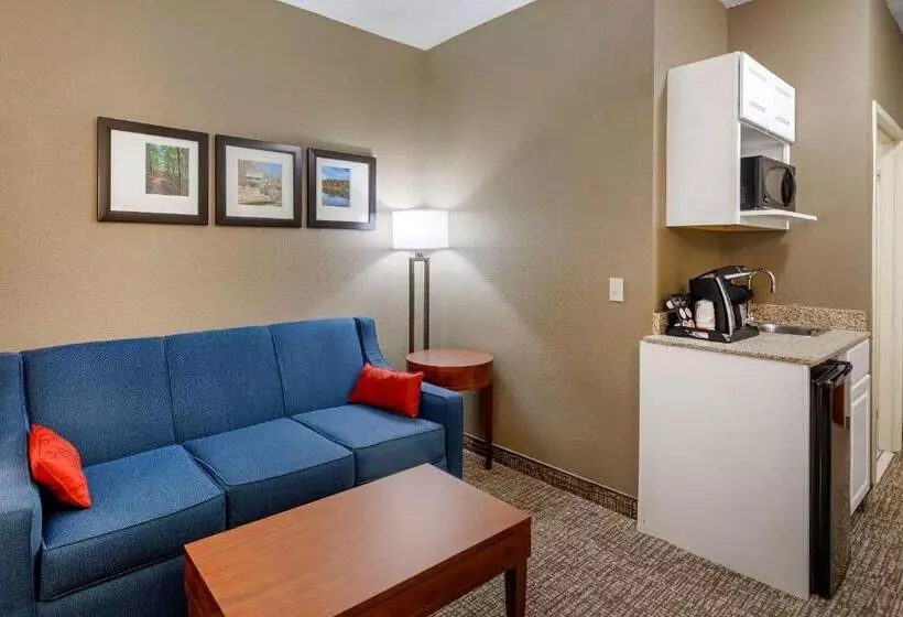 キングサイズベッドのスイートルーム, Comfort & Inn Suites