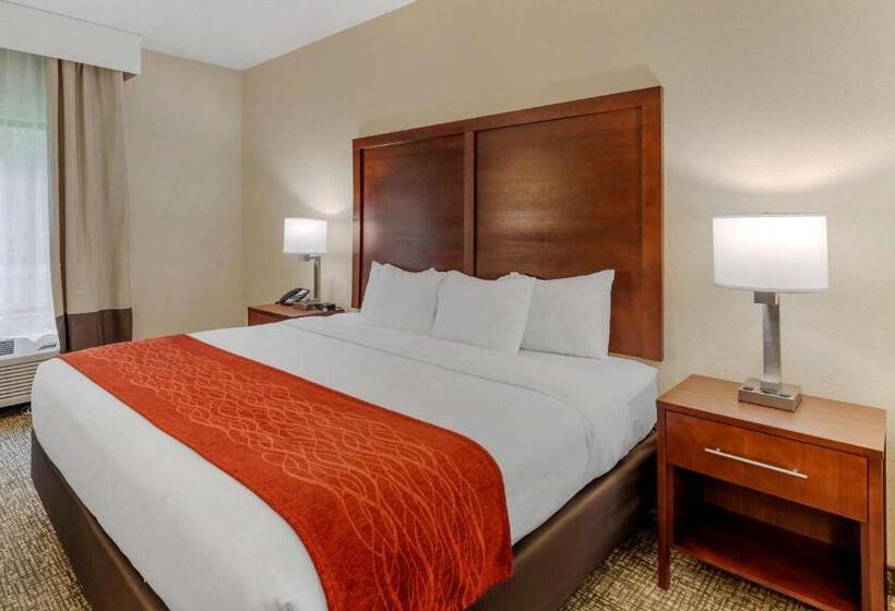 جناح سرير كينج, Comfort & Inn Suites