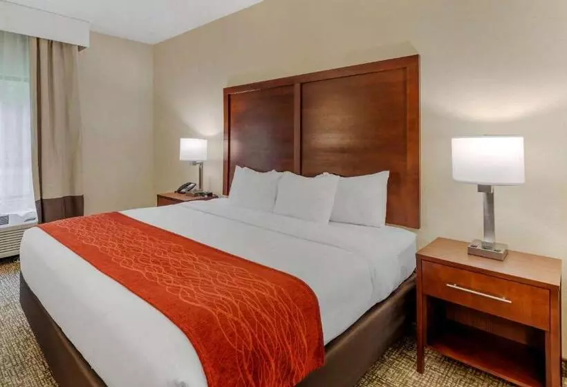 キングサイズベッドのスイートルーム, Comfort & Inn Suites