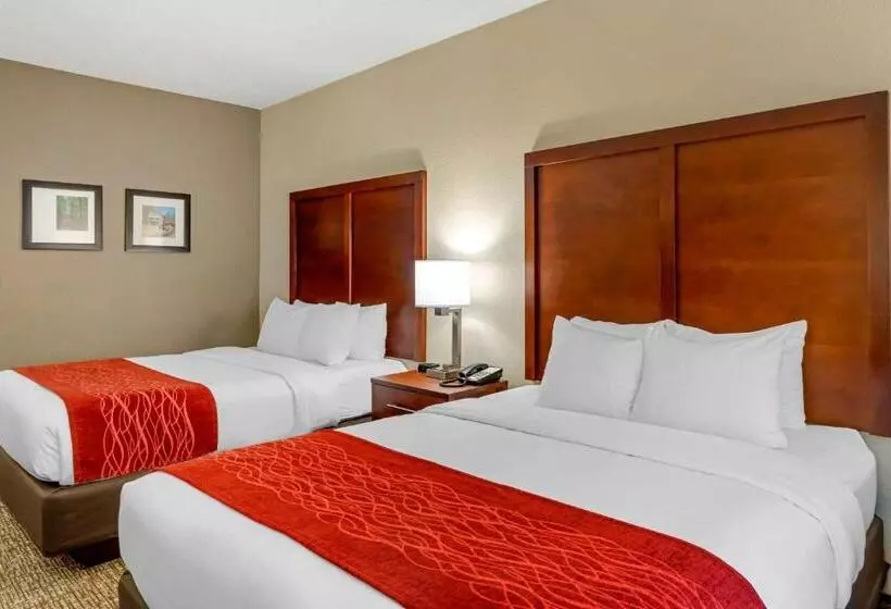 スタンダードルーム, Comfort & Inn Suites