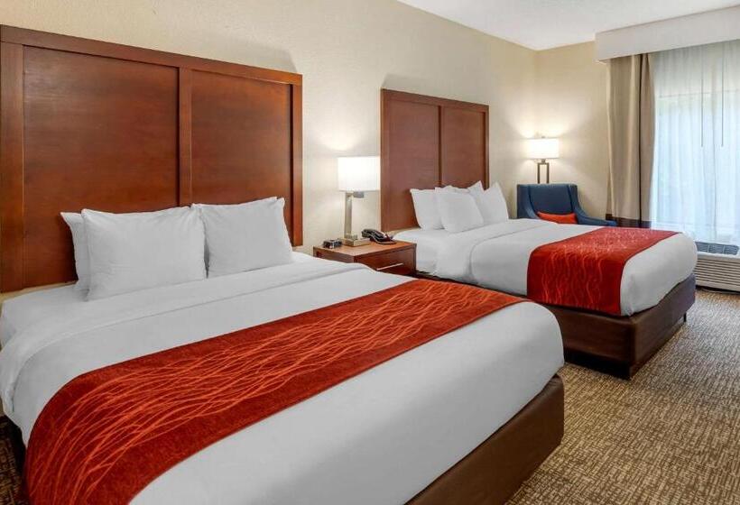 스탠다드 룸, Comfort & Inn Suites