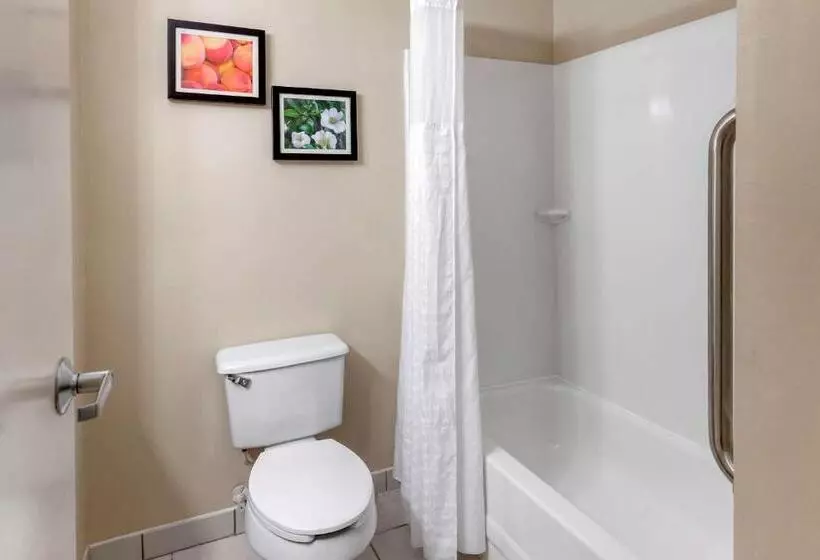 キングサイズベッドのスタンダードルーム, Comfort & Inn Suites