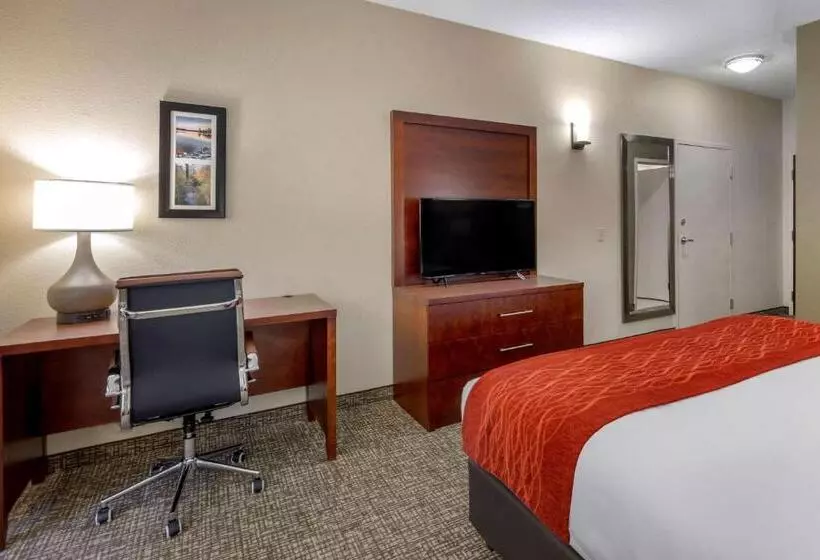 キングサイズベッドのスタンダードルーム, Comfort & Inn Suites