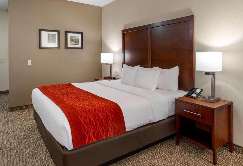 キングサイズベッドのスタンダードルーム, Comfort & Inn Suites