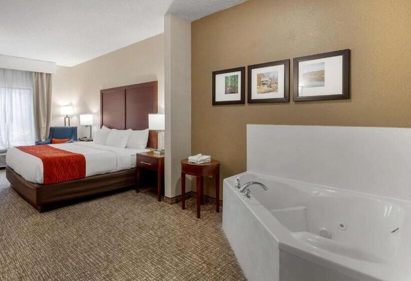 غرفة قياسية بالطابق الأرضى, Comfort & Inn Suites