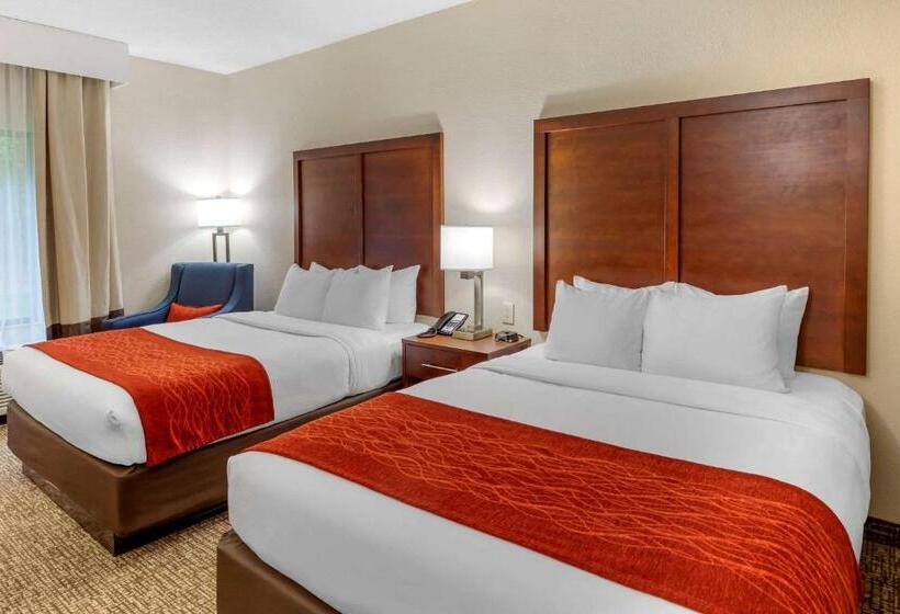 غرفة قياسية لذوى الاحتياجات الخاصة, Comfort & Inn Suites