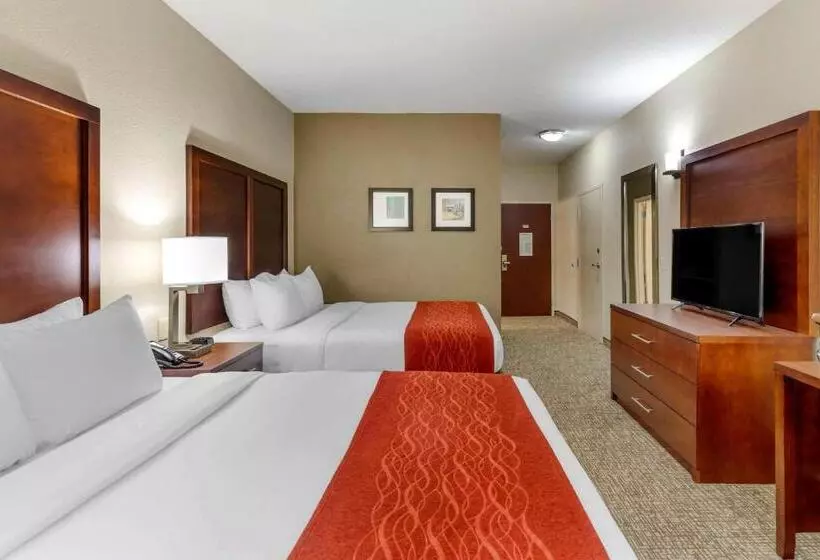 身障者適用スタンダードルーム, Comfort & Inn Suites