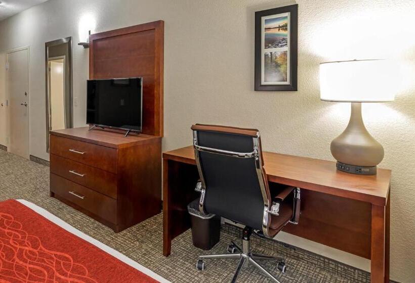 身障者適用キングサイズベッドルーム, Comfort & Inn Suites