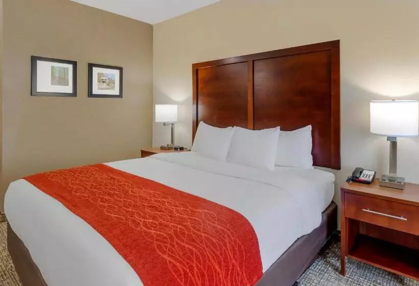 身障者適用キングサイズベッドルーム, Comfort & Inn Suites