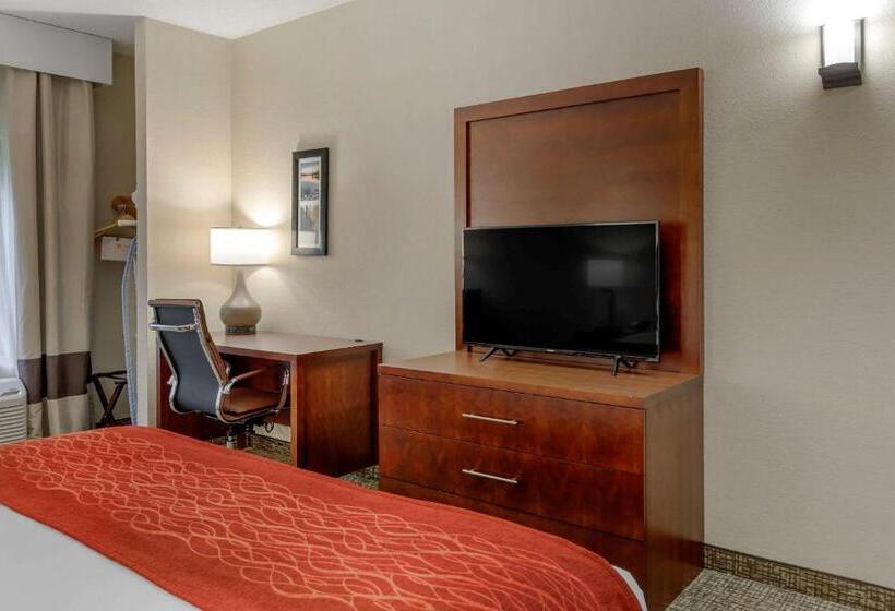 غرفة قياسية سرير كينج لذوى الإحتياجات الخاصة, Comfort & Inn Suites